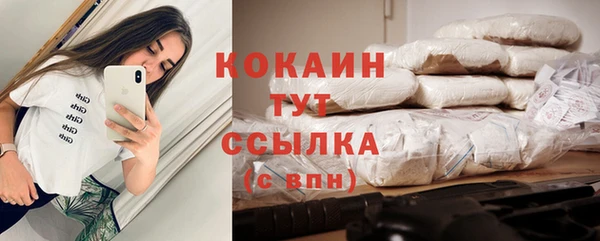 гашик Домодедово