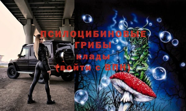 спиды Медногорск