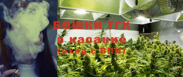 ГАЛЛЮЦИНОГЕННЫЕ ГРИБЫ Магас