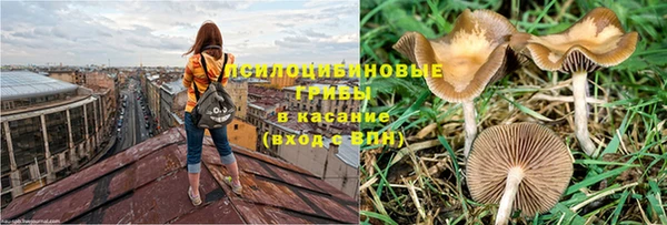 тгк Мегион